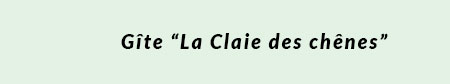 plaquette Les Terrasses de l'Aigoual